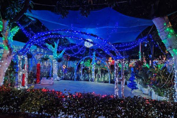 Prendieron las luces navideñas