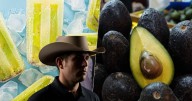 Hay de aguacate y changunga: ¿Cuánto cuestan las paletas de Bautista Tafolla, amigo de Carlos Manzo?