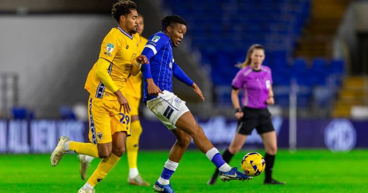 Cardiff City star's unseen influence as January transfer message made clear