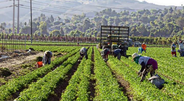 Nueva caída de remesas; menos mexicanos trabajan en EU: BBVA