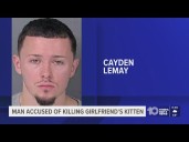 Spring Hill man accused of killing kitten, pushing his girlfriend in domestic dispute