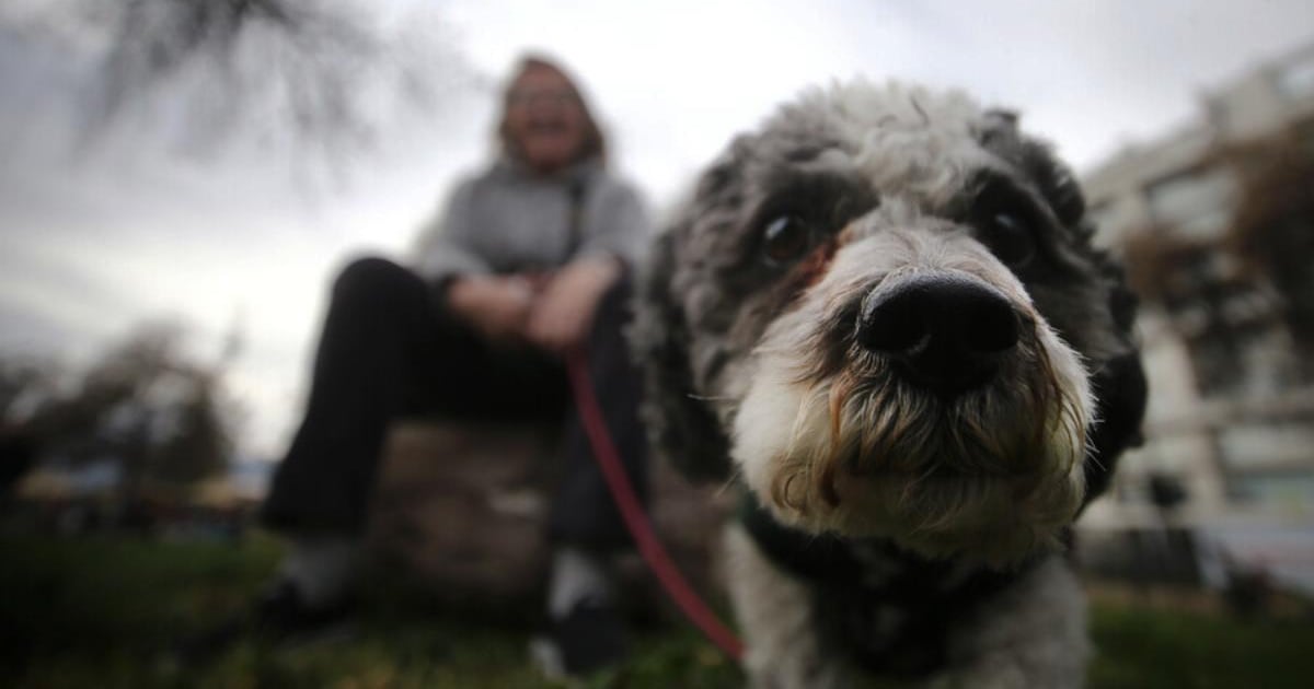 Anuncian el regreso de la lluvia en la Región Metropolitana: cuándo comienzan las precipitaciones