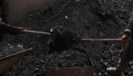 Cabinet Okays Coal Auction For Any Industrial Use, Exports