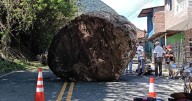Moment people run for their lives as boulder barrels down street crushing bike