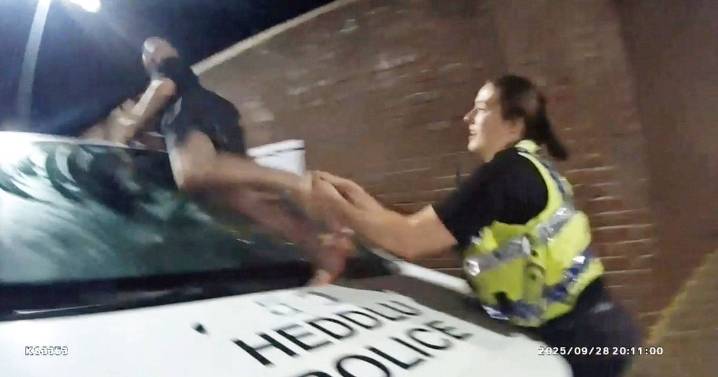 Man's ridiculous attempt to evade police resulted in broken back