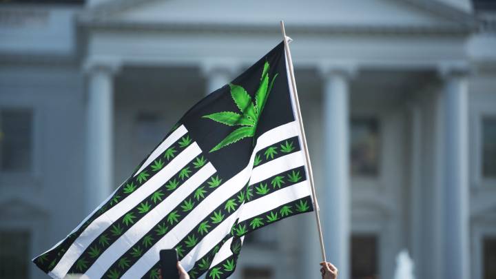 Cannabis: stocks surge after report that Trump wants to loosen regulations