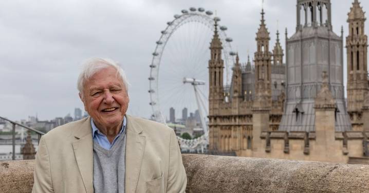 Sir David Attenborough details London's hidden wildlife including killer gull