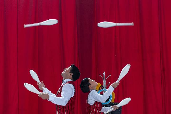 Circo de Tradición Familiar en Chile es declarado Patrimonio Inmaterial de la Humanidad por la Unesco