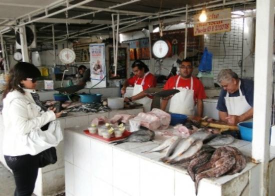 Atención Arica: Seremi de Salud desmiente rumor viral sobre "marea roja"