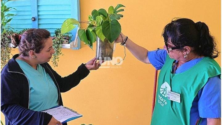 Dengue en Santa Fe: se confirmó la presencia del mosquito transmisor en 32 barrios de la ciudad