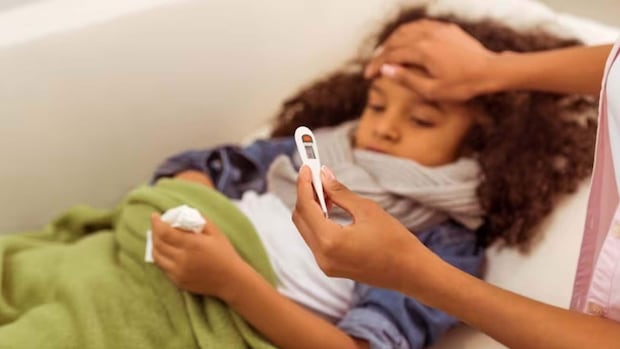 Manitoba hospital capacity boosted with new beds as respiratory virus season arrives