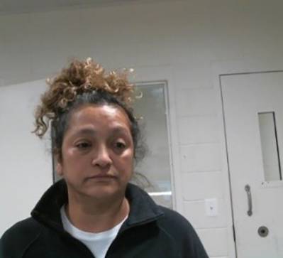 ICE arrests 2 criminal illegal aliens convicted of endangering children