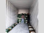 Ferozepur Rail Division boosts rail freight; Door-to-Door service secures trader trust [ FULL VIEW ]