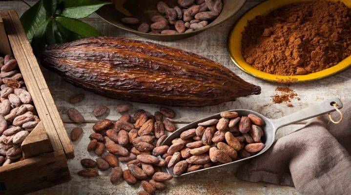 Beneficios neuroprotectores de los flavonoles presentes en el cacao