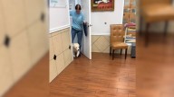 Florida Pup’s Emotional First Daycare Pickup Captures Pure Joy And Love