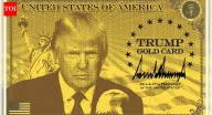 ‘Much better, more powerful’: Trump Gold Card vs Green Card; key differences explained