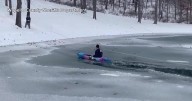 Quick-thinking rescuers save freezing dog from icy pond