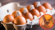 PELIGRO en Estados Unidos: detectan huevos con salmonella y ordenan RETIRO URGENTE en estas ciudades
