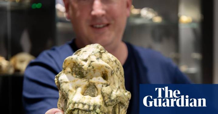 Little Foot hominin fossil may be new species of human ancestor