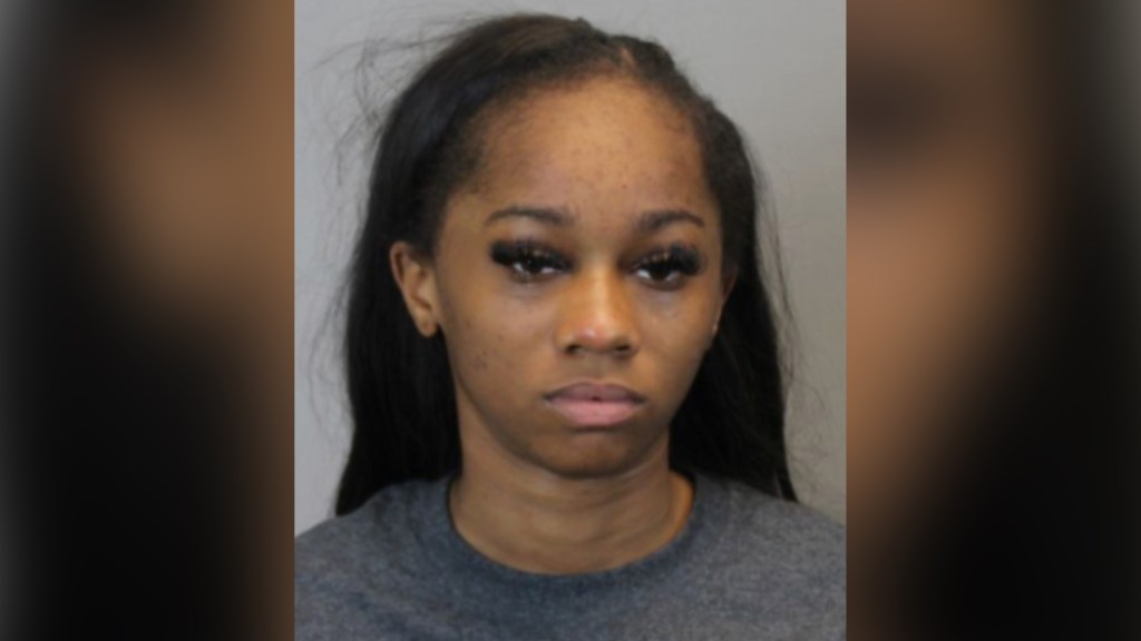 Buffalo woman sentenced for ramming car into 2 men, killing 1