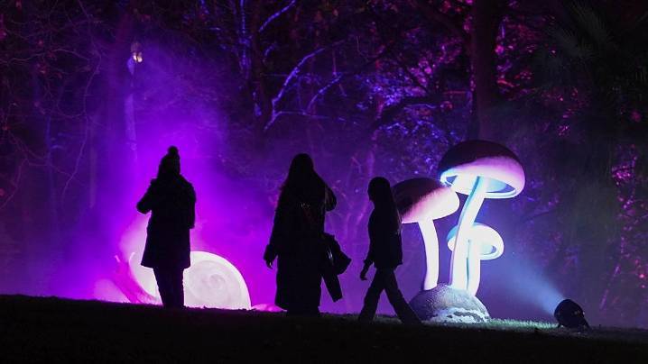 Las luces que iluminan la Navidad