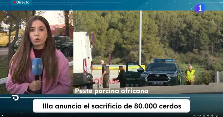 TVE se equivoca y atribuye por error a Illa la orden de sacrificar 80.000 cerdos por la peste porcina