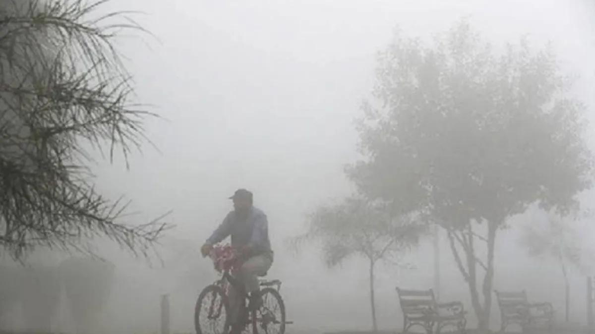 Jharsuguda Records 7°C as Odisha Freezes Under Cold Wave