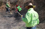 Refuerza alcalde Javier Díaz acciones de limpieza y deshierbe al sur de Saltillo