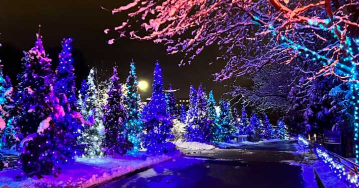 Henry Vilas Zoo cancels Zoo Lights Dec 13-14 due to expected wind chills