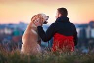 Pet owners: Check dog food amid recall over hazardous plastic bits