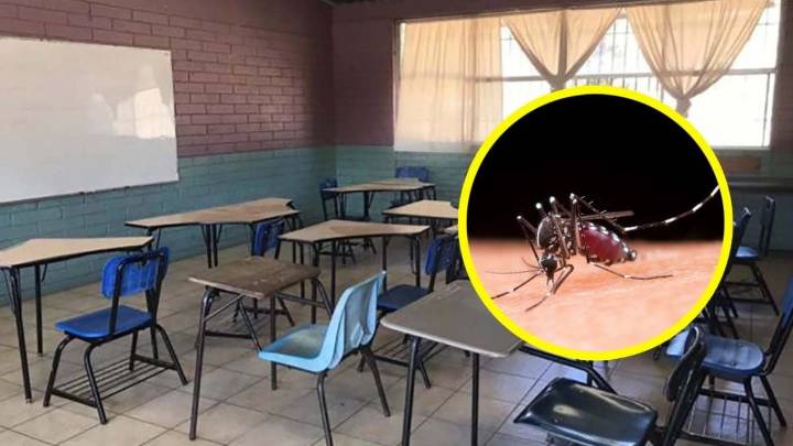 Muere querido maestro de primaria por dengue hemorrágico