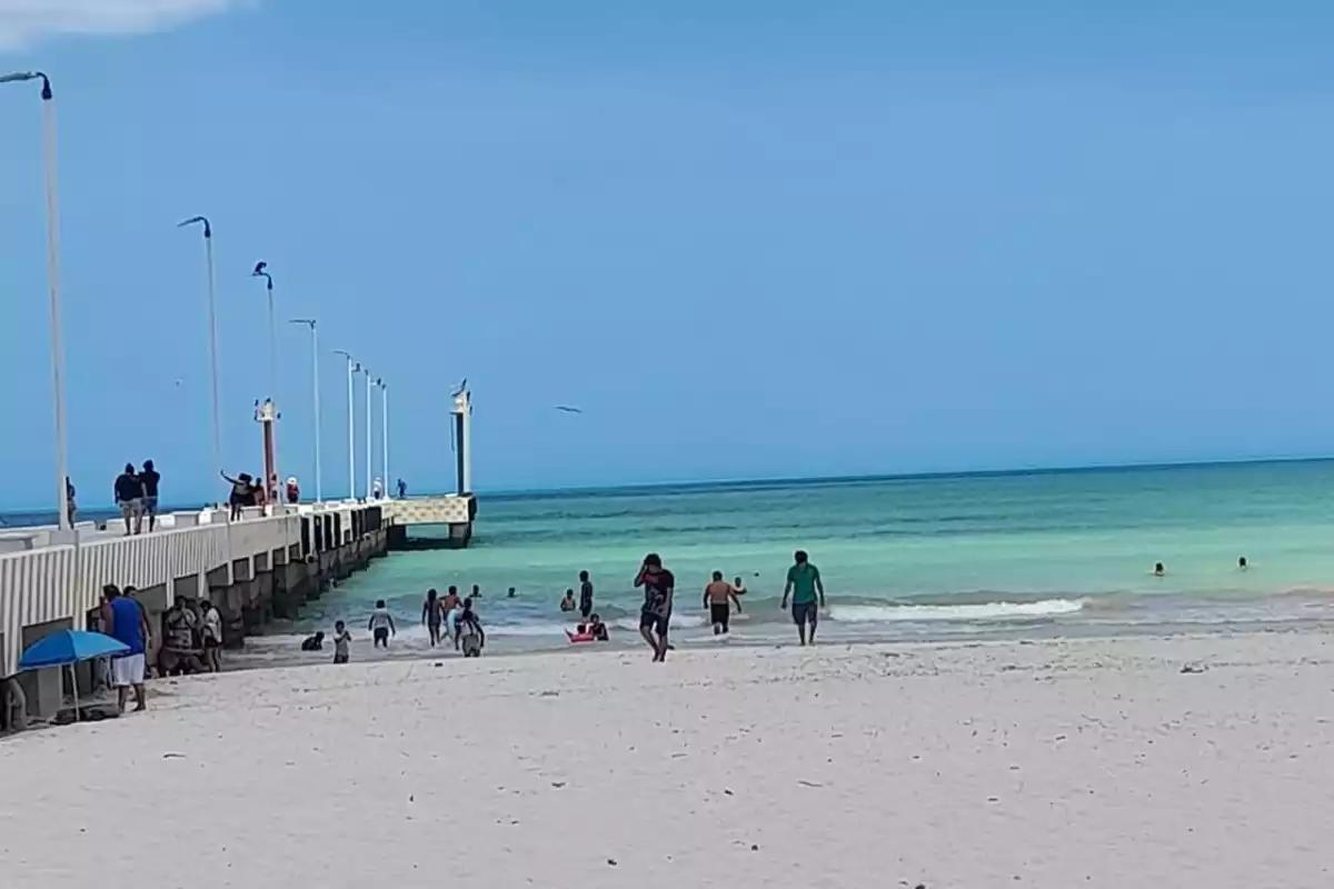 Vacaciones de Invierno 2025: ¿Cuánto cuesta la renta de una casa en la playa en Yucatán?