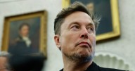 Elon Musk Calls for the European Union to Be 'Abolished'