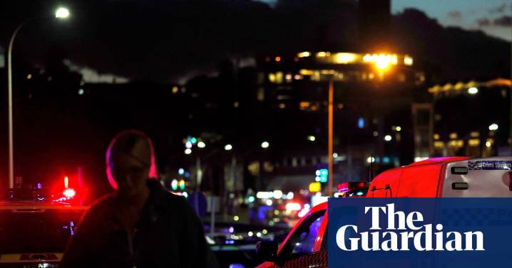 Bondi beach terror attack: 12 people killed in ‘evil antisemitic’ shooting at park in Australia