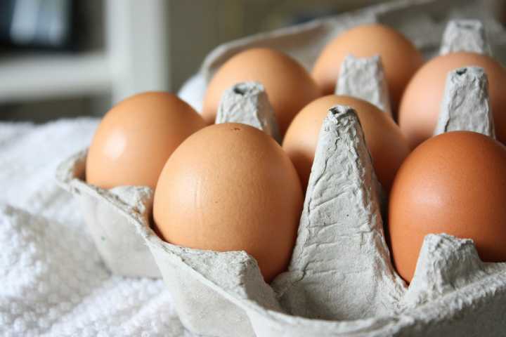 Se abrió el mercado de Estados Unidos a los huevos colombianos