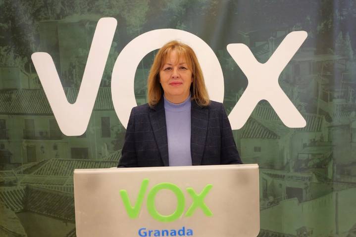 Vox presenta 48 enmiendas a los presupuestos andaluces para movilizar más de nueve millones en sanidad y educación