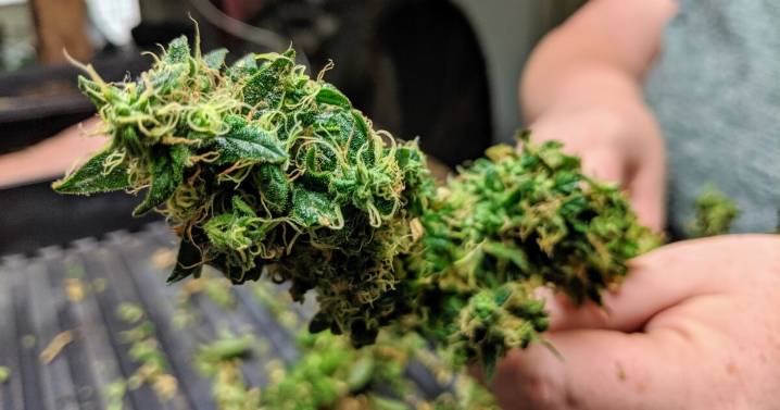 Kansas is one of the top hemp growing states, but a federal change threatens the industry