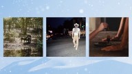 10 upcoming albums to stream during the winter chill