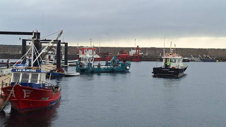 Un informe de Pesca señala que las jaulas de Telde están limpias