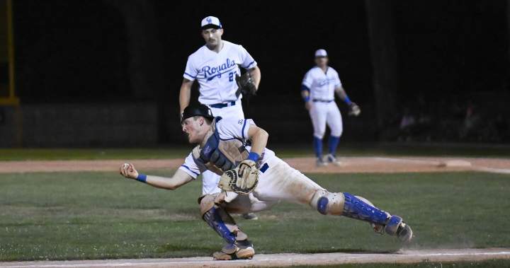 Guelph Royals up for sale as 160-year baseball legacy begins new chapter