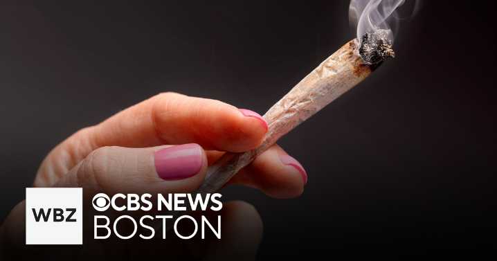 Cannabis cafes get green light in Massachusetts