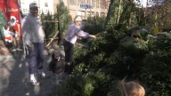 New doc spotlights families behind Christmas tree trade