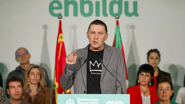 Bildu pide un referéndum en Navarra para decidir su relación con el País Vasco