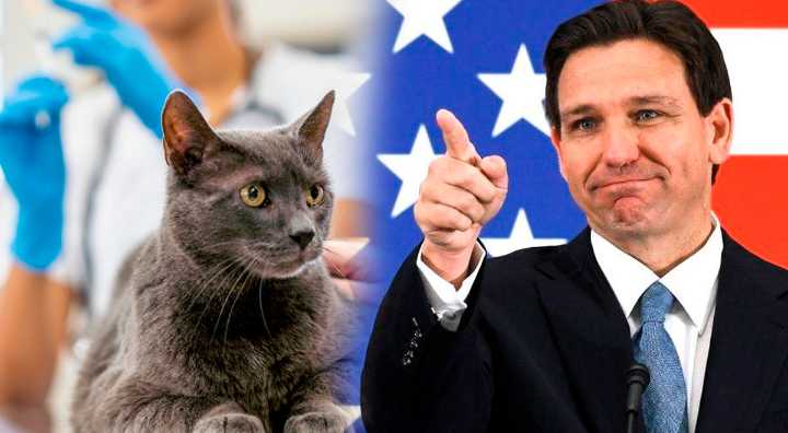 EXCELENTES NOTICIAS | Ron DeSantis FIRMA LEY que impactará en las mascotas de Florida: Entrará en vigor en el 2026