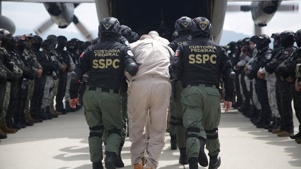 Donald Trump's war on drug cartels