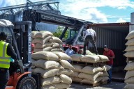 Venezuela exporta 161 toneladas de café verde a EEUU