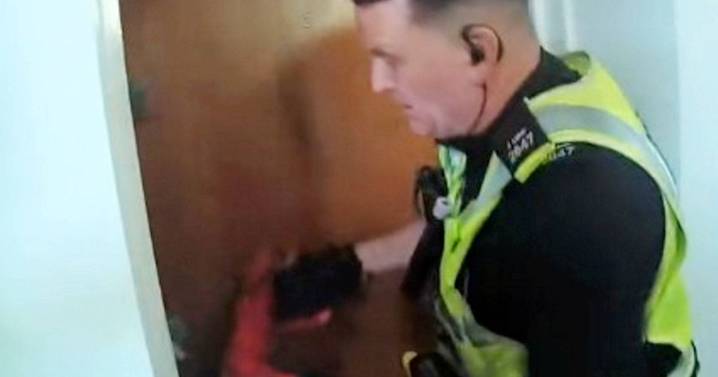 Cop shouts 'wow' as police find plate of cocaine in fridge during drugs raid