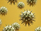 Tratamientos del virus sincicial para bebés entran en la mira del gobierno estadunidense