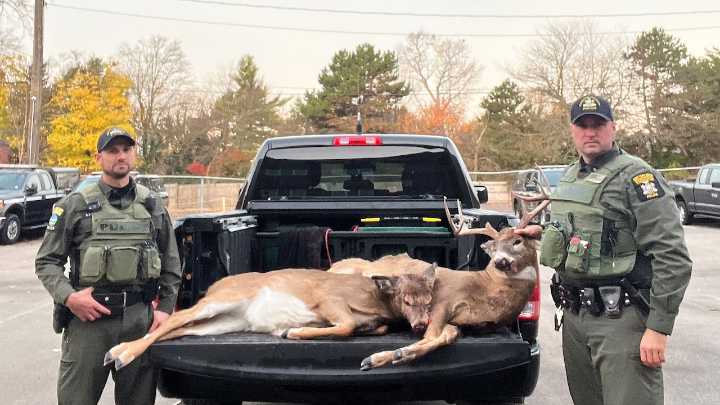 Late night poachers caught driving around with dead deer in Upstate NY