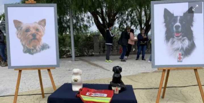 Tribunal busca reducir la pena al sujeto que envenenó a los perros rescatistas Athos y Tango